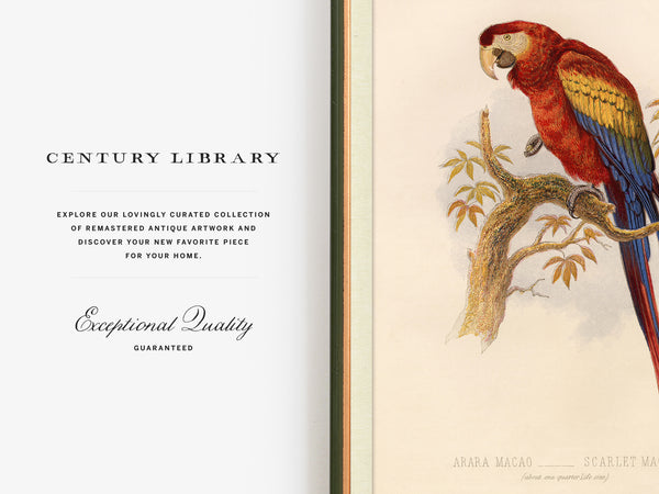 An open vintage-style book or art print showing a cream-colored interior spread. The left page has black serif text reading 'CENTURY LIBRARY' and 'Exceptional Quality GUARANTEED.