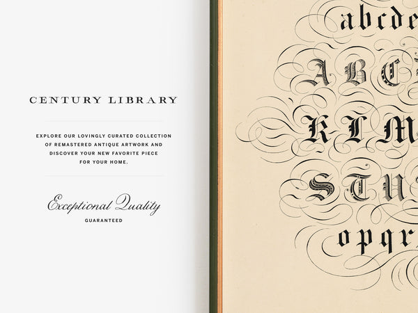 Decorative Old English Typography Print