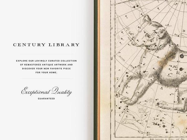 Antique Astronomy Print - Ursa Minor and Major Constellations