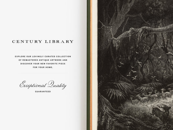 The Forests on the Banks of the Mississippi by Gustave Dore