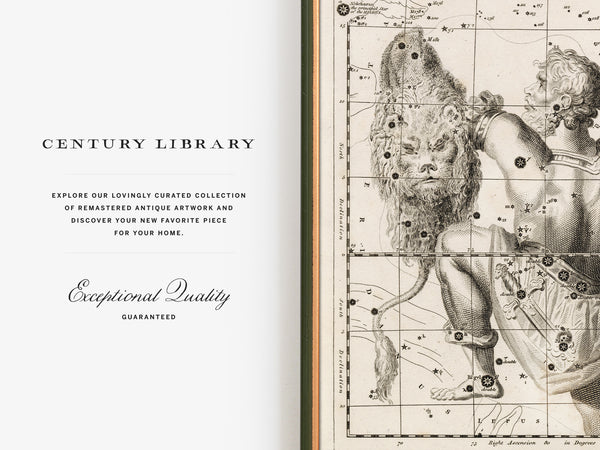Antique Astronomy Print - Orion Constellation
