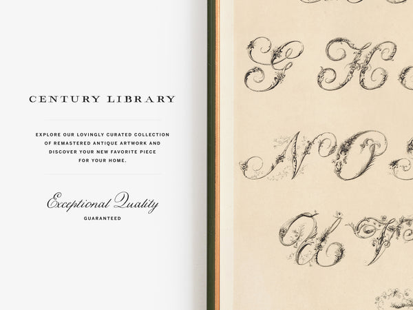 Antique Ornamental Alphabet Print