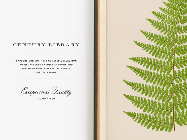 An open book or journal spread showing a cream-colored left page with the text 'CENTURY LIBRARY' and elegant script reading 'Exceptional Quality Guaranteed,' alongside a green fern leaf printed or placed on the right page.