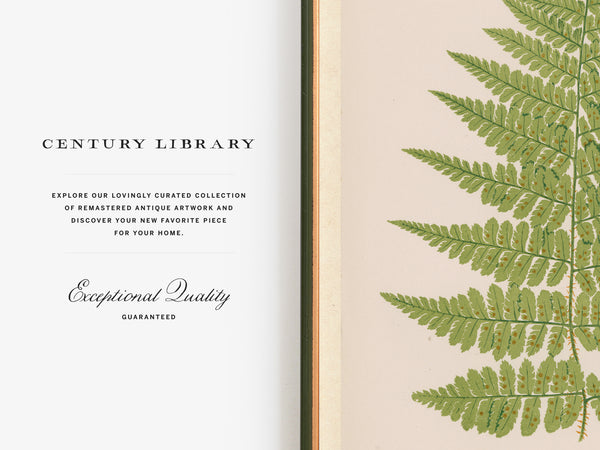 An open book or magazine spread with a white left page featuring the text 'CENTURY LIBRARY' and 'Exceptional Quality GUARANTEED,' and a beige right page decorated with a large green fern leaf illustration.