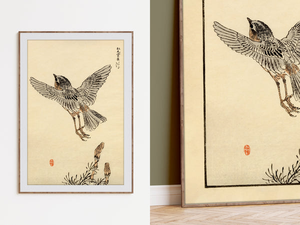Kono Bairei 1888 Woodblock Print - Bird Taking Flight