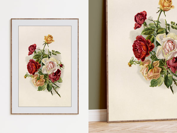 Framed floral wall art showing a bouquet of roses in red, cream, and yellow tones on a light background, displayed in a room setting with two framed versions visible.