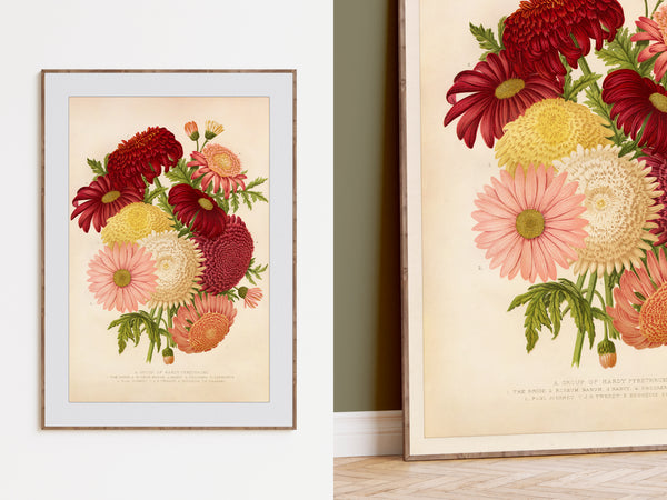 Framed botanical art print featuring a vintage-style floral bouquet with red, pink, yellow, and cream flowers on a warm cream background, shown hanging on a white wall and leaning against a dark green wall.