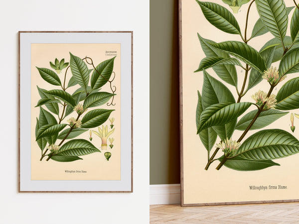 Botanical wall art print showing green leaves and small pale flowers on a cream background, displayed in a thin frame on a white wall with part of a second matching print visible beside it.