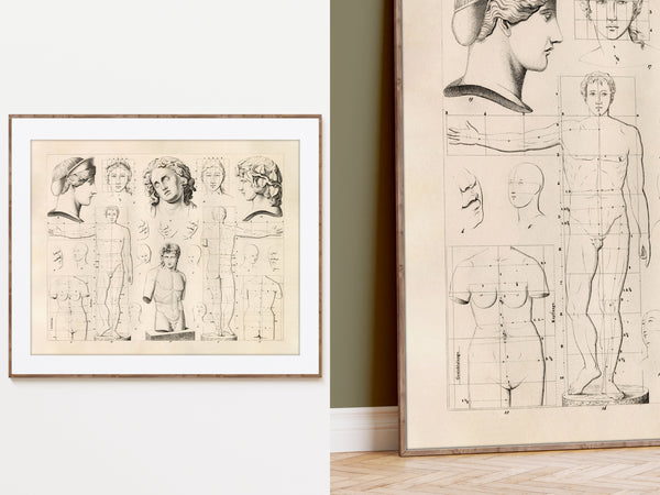 A framed art print featuring classical anatomical sketches and figure studies, shown hanging on a white wall alongside another larger version of the same print in a room setting.