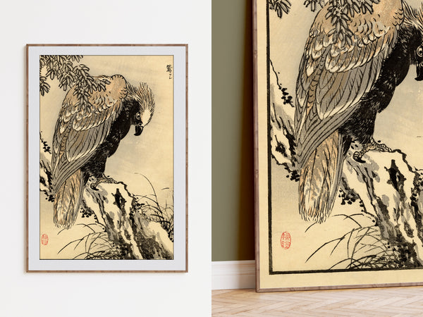 Kono Bairei 1888 Woodblock Print - Bird of Prey