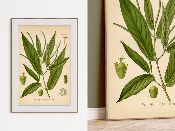 Framed botanical art prints showing green pepper illustrations on a cream background, displayed on a wall and floor in an interior setting.