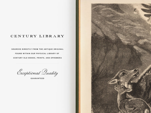 A Duel in the Mountains - 1800s Wood Engraving Restoration