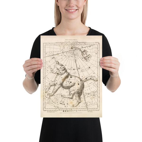 Antique Astronomy Print - Ursa Minor and Major Constellations