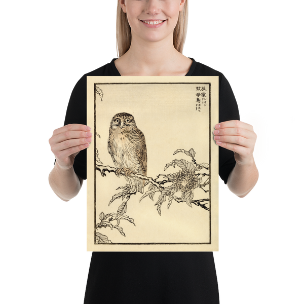 Kono Bairei 1888 Woodblock Print - Owl on Branch