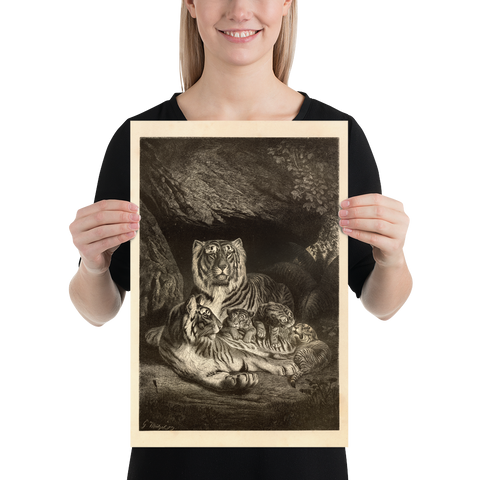 A Family of Tigers - Beautiful 1877 Lithograph Reprint