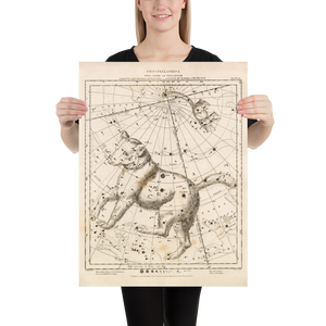 Antique Astronomy Print - Ursa Minor and Major Constellations