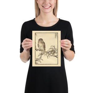 Kono Bairei 1888 Woodblock Print - Owl on Branch