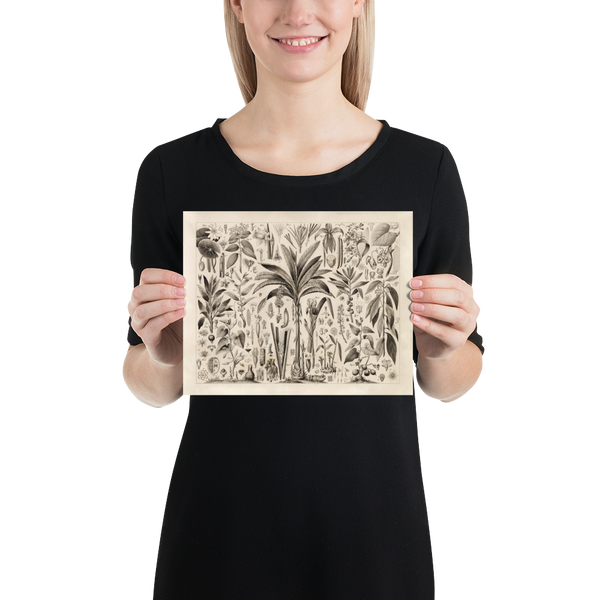 A person holding a printed sketch of a botanical illustration.